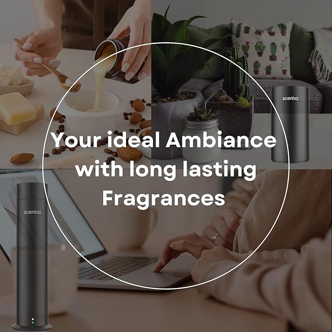 Scentia Hotel Diffuser Oil Inspired by Fairmont Hotel - 50 mL 1.69 fl oz -Essential Oil Blend Rose, Oud Wood & Clove Notes for Aromatherapy Diffusers - Lost Rose, Thanksgiving Gift