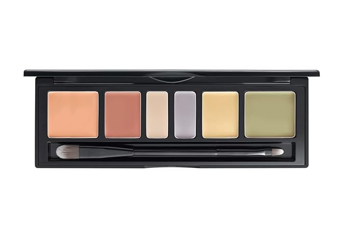 [JUNGSAEMMOOL OFFICIAL] Artist Concealer Palette (Blend) | Makeup Artist Brand | Color Corrector | Blemish Redness Dark Circles Cover Up | Brush Included