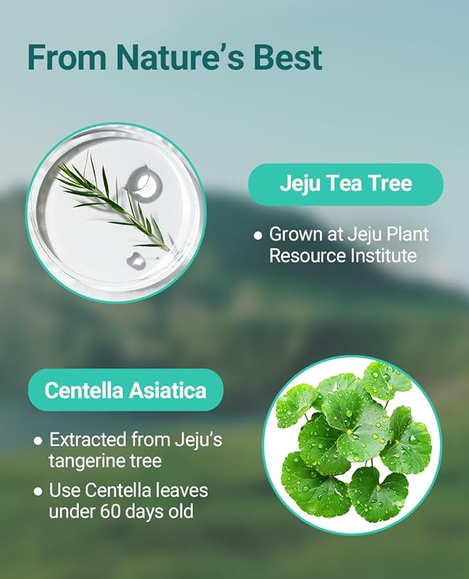 BRING GREEN TEA TREE CICA TRIAL KIT | Travel Size Korean Skin Care Set for Acne-Prone, Sensitive Skin | Zinc Teca Serum, Tea Tree Cica Moisturizer & Deep Cleansing Foam | Hydrating & Oil Control