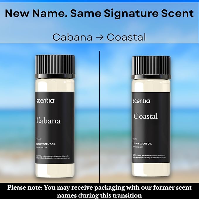 Scentia Hotel Diffuser Oil Inspired by 5-Star Hotel Scent - 20 mL 0.67 fl oz - Fragrance Oil Blend Botanical Jasmine, Bergamot & Fresh Marine Notes Aromatherapy Diffusers - Cabana, Thanksgiving Gift