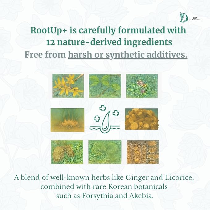 [THY rootup+] Botanical Hair Tonic – Herbal Scalp Spray for Fuller-Looking Hair | Non-Greasy Formula with Korean Plant-Based Formula | For Men & Women |250 ml / 8.45 fl oz