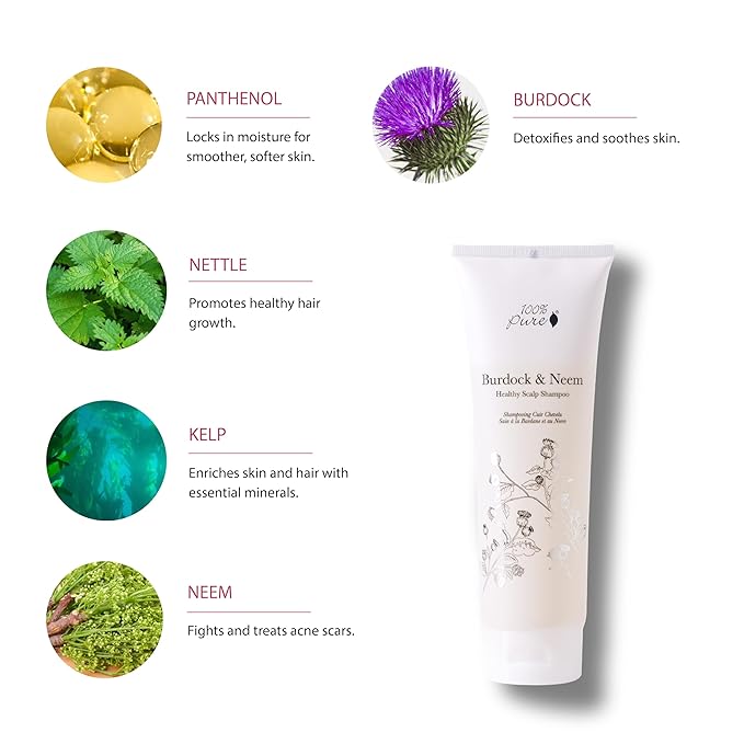 100% PURE Burdock & Neem Healthy Scalp Clarifying Shampoo Moisturizing Detox with Rose Hydrosol Replenishing Cleanser for Dry, Itchy, Flaky Scalp for Women & Men - 8 Fl Oz