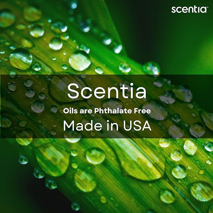 Scentia W Magic Hotel Diffuser Oil Inspired by 5-Star Hotel - 50 mL 1.69 fl oz - Fragrance Oil Blend Bergamot, Lemongrass & Jasmine for Aromatherapy Diffusers Humidifiers - Thanksgiving & Holiday Gift