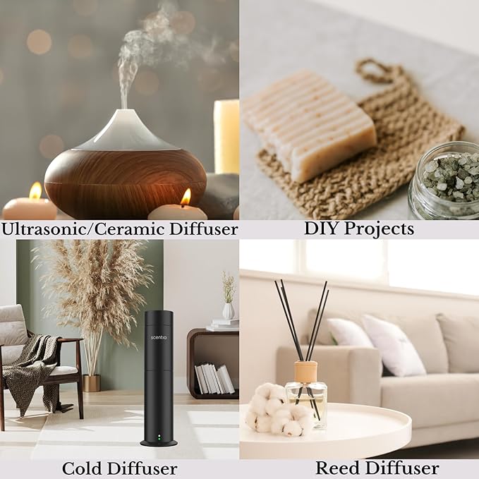 Scentia W Magic Hotel Diffuser Oil Inspired by 5-Star Hotel - 50 mL 1.69 fl oz - Fragrance Oil Blend Bergamot, Lemongrass & Jasmine for Aromatherapy Diffusers Humidifiers - Thanksgiving & Holiday Gift