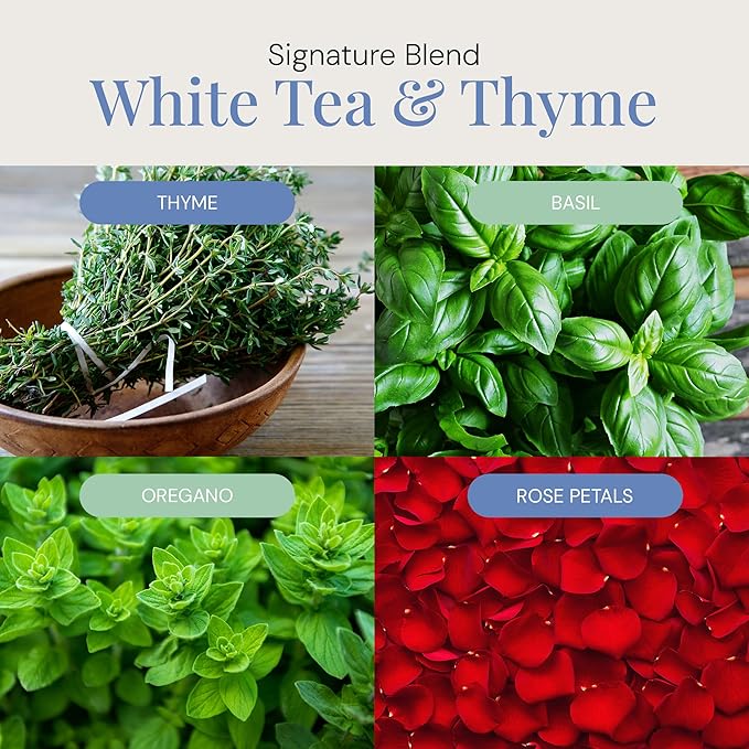White Tea & Thyme Aroma Oil, Essential Oils Blend for Diffusers & Scent Machines, Rose Petals, Thyme & Balsam, Aromatherapy, Cold Air Diffuser Compatible, 100 mL