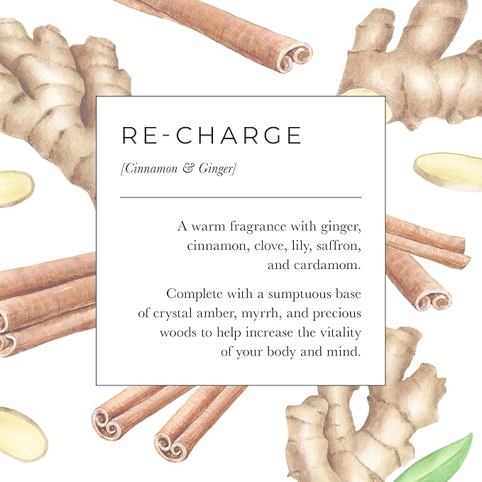 Pecksniff's Aroma:Therapy Re-Charge Shower Gel – Luxurious Moisturizing Bath & Body Cleanser, 1000 ml/33.8 fl oz Bottle