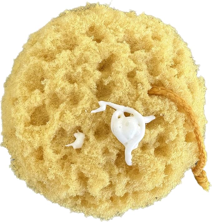 Michelle's Melting Pot Exfoliating Foam Sea Sponge, Natural Feel, Shower Loofah, Bath Sponge, Rich Lather (Set of 3)