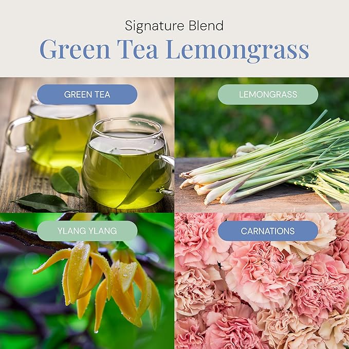 Green Tea & Lemongrass Aroma Oil, Essential Oils Blend for Diffusers & Scent Machines, Blend of Lemongrass & Leafy Greens, Aromatherapy, Cold Air Diffuser Compatible, 100 mL