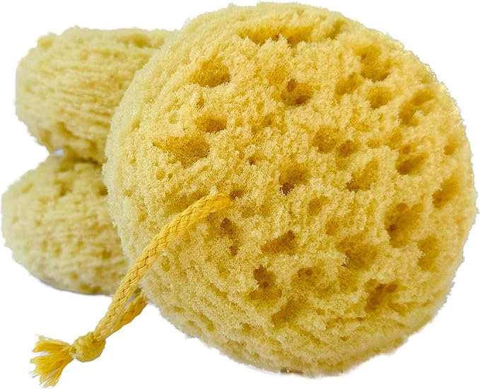 Michelle's Melting Pot Exfoliating Foam Sea Sponge, Natural Feel, Shower Loofah, Bath Sponge, Rich Lather (Set of 3)