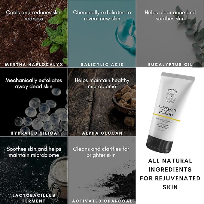 Doppeltree 3-in-1 Exfoliating Facial Cleanser with 2% Salicylic Acid, Hydrated Silica, & Activated Charcoal for Clearer Skin, Oil Control & Anti Aging